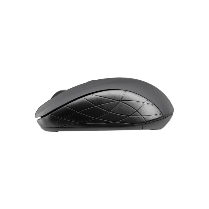 Sichqoncha 2E MF216 WL Black