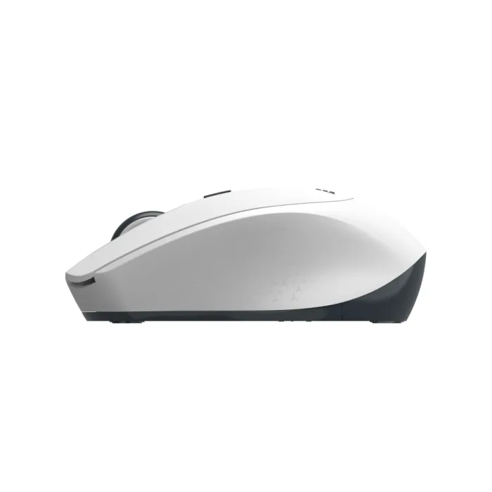 Sichqoncha 2E MF220 WL Oq
