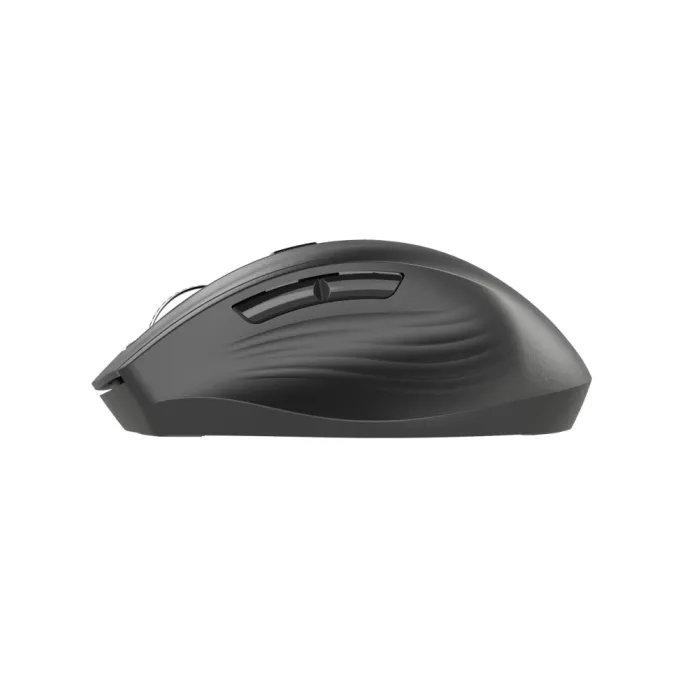 Sichqoncha 2E MF250 WL Black