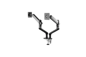 Monitor tagligi