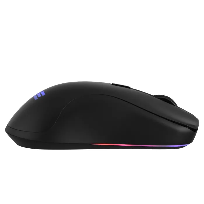 Мышь 2E GAMING MG270 WL