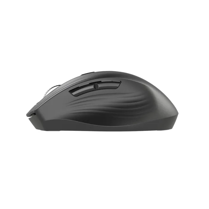 2E MF250 Silent WL sichqonchasi
