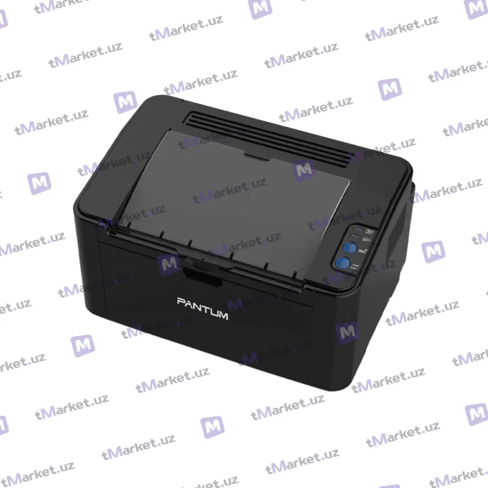 Pantum P2516 printeri